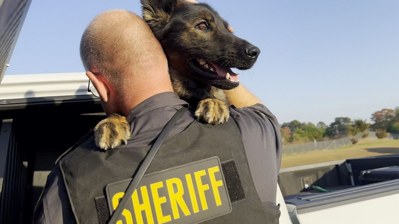 K9 unit nonprofit assists in search for missing N.C. mother